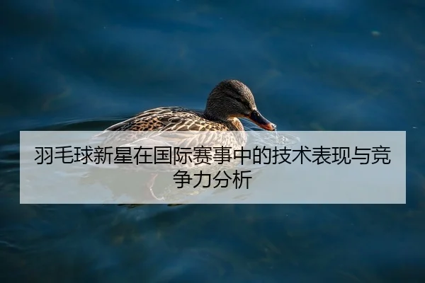 羽毛球新星在国际赛事中的技术表现与竞争力分析