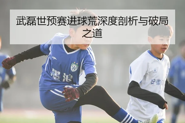 武磊世预赛进球荒深度剖析与破局之道